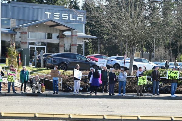 DOGE, Musk, and Protests