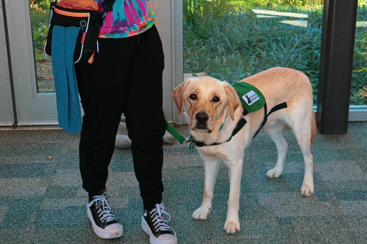 Grey's service dog. When wearing his green vest (the majority of the time at school), he is on-duty and must focus on Grey. 