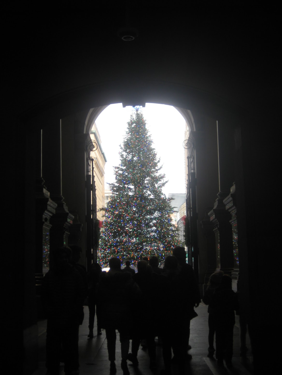 A giant Christmas tree looms in front of City Hall