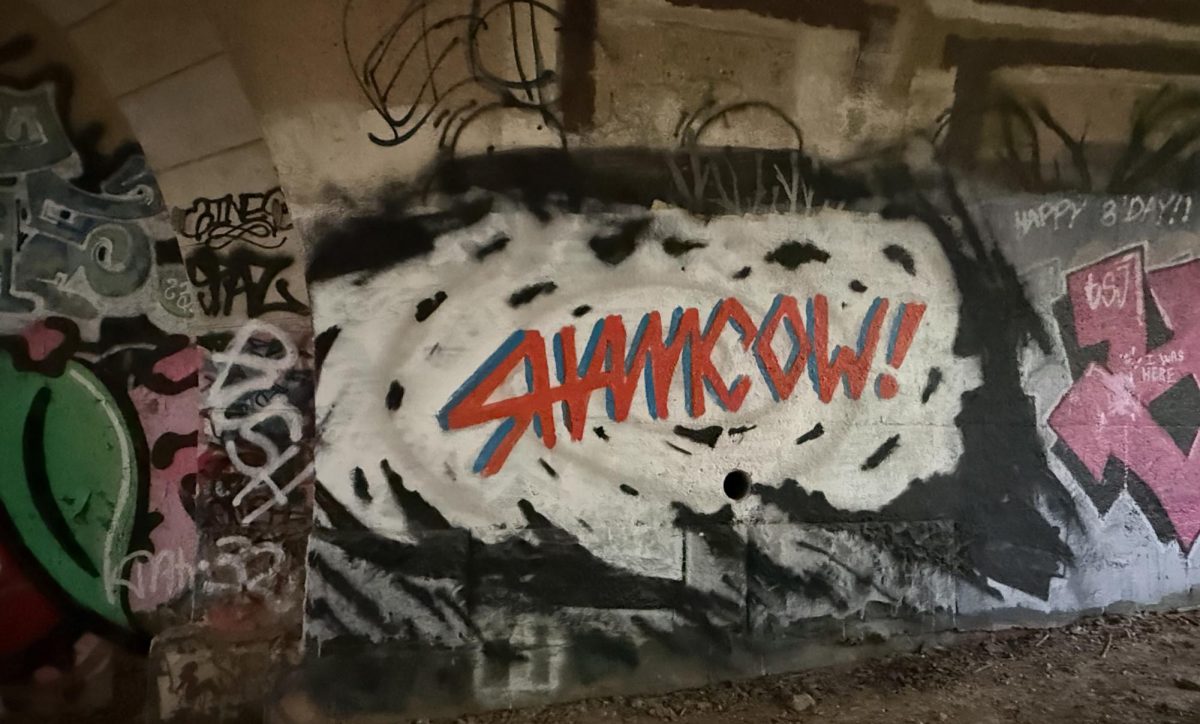 Black & White street art with the word 'Shamcow' has been showing up in Northwest Philly, Manayunk, Roxborough, East Falls, and Wissahickon neighborhoods.